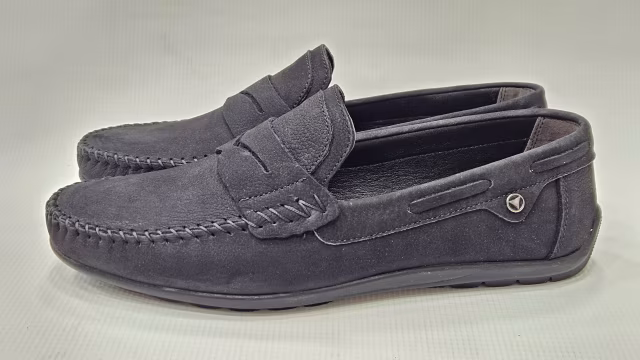 Leo truva 581