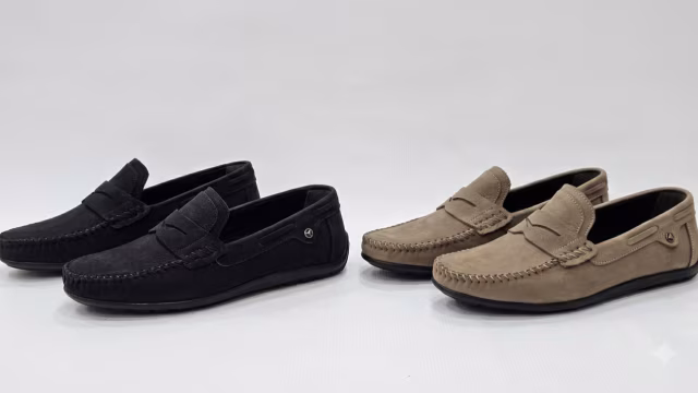 Leo truva 581